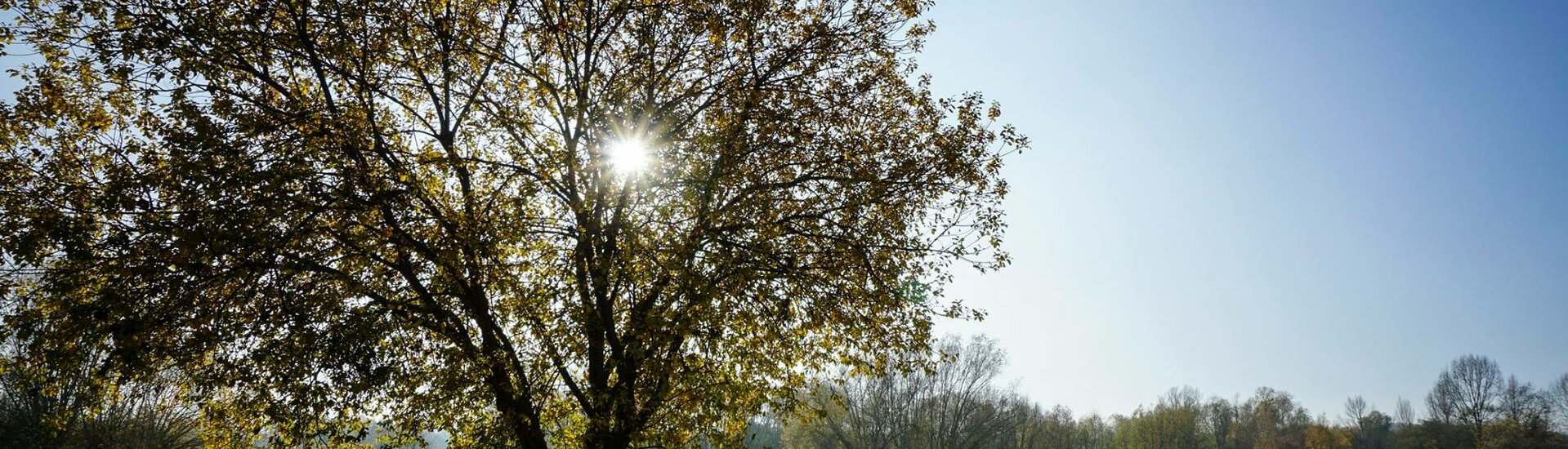 Parc de la Garenne