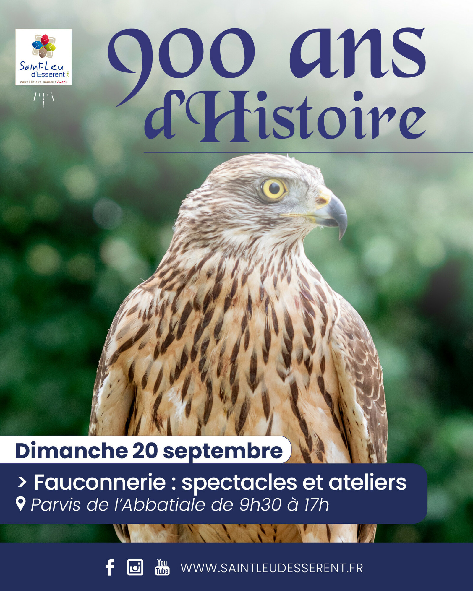 Visuel journ&eacute;es du patrimoine 2026 - fauconnerie