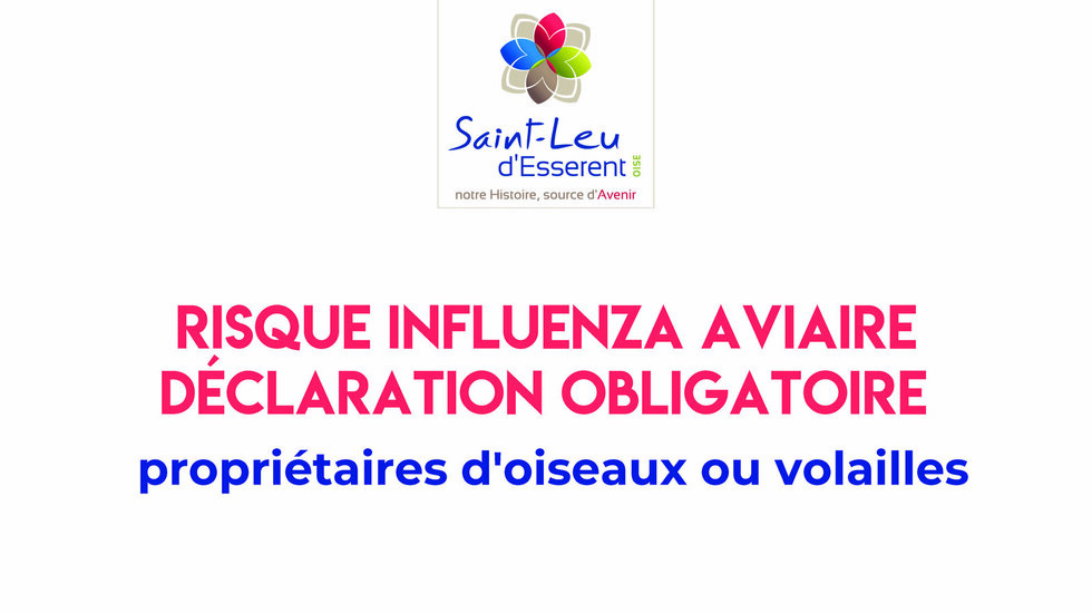 Déclaration obligatoire : propriétaires d'oiseaux ou volailles