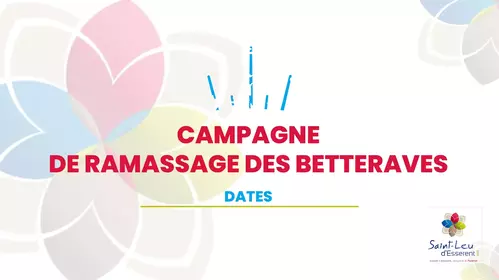 Campagne betteravière 2023