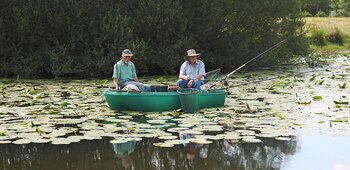 Les Martins Pêcheurs